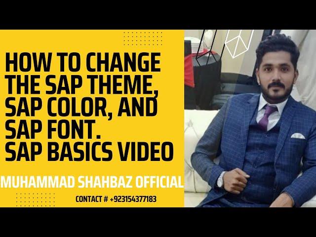 How to change SAP theme| How to change SAP colour | How to change SAP Font | SAP GUI basics Video