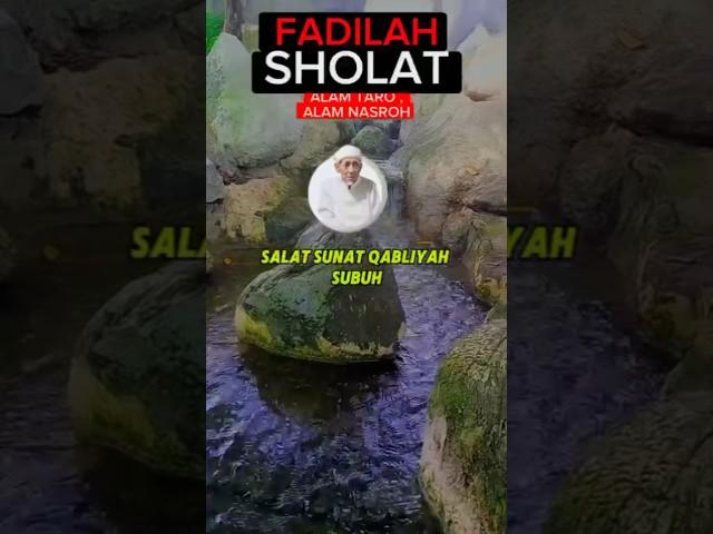 KH. MAIMOEN ZOBEIR - FADILAH SHOLAT #doa #ilmu #amalan #fyp #viral #reel #trending #happy