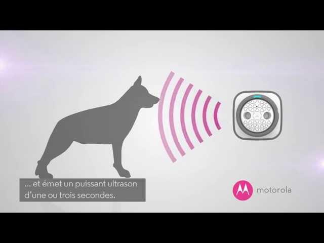 Motorola Bark 500u Boîtier à ultrasons anti aboiement intérieur