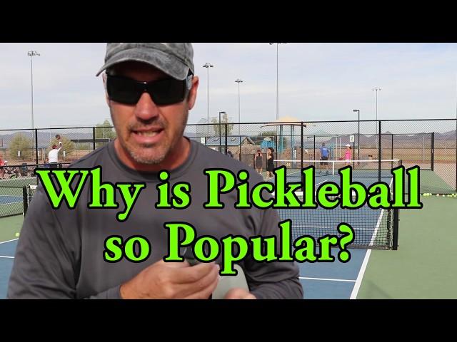Why Is Pickleball So Popular?  Pickleball Diary #19