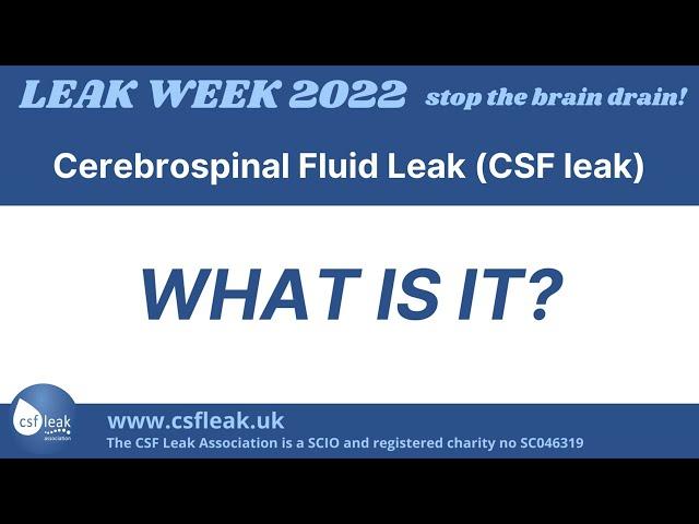 What is a CSF leak?