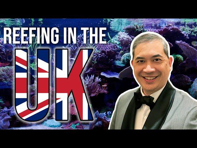 What I Discovered About Reefkeeping in the UK That Inspired Me!