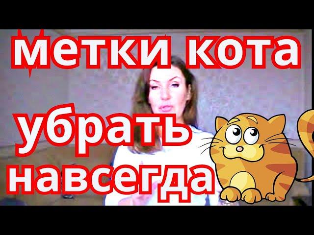 КАК НА 100%ИЗБАВИТЬСЯ ОТ МЕТОК КОТА/СОВЕТ БЫВАЛОГО