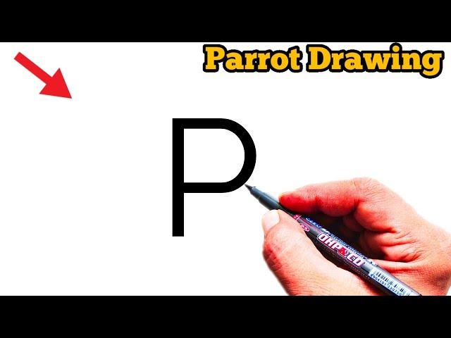 How to draw parrot from letter P | Easy Parrot Drawing | Letter Drawing