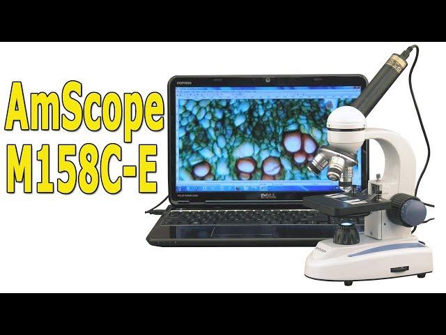 AmScope 40x -1000x (M158C-E) - A Great Microscope