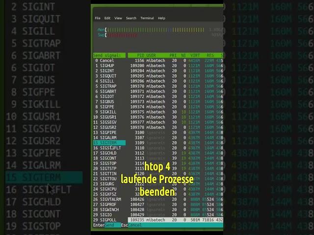 Linux Terminal Kurs 42 - htop 4 / laufende Prozesse  beenden