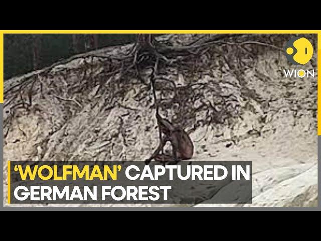 Mysterious naked 'wolfman' spotted in Germany's Harz mountains | Latest World News | WION