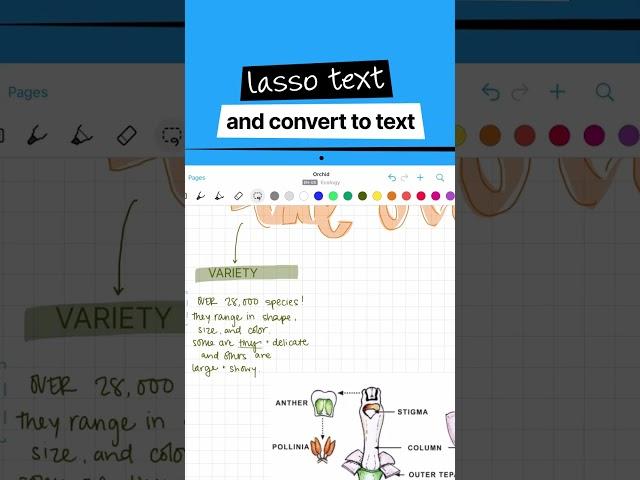 How to Convert Handwriting to Text on your iPad