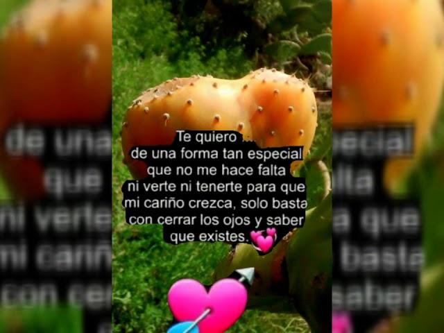 Lloro por tu amor