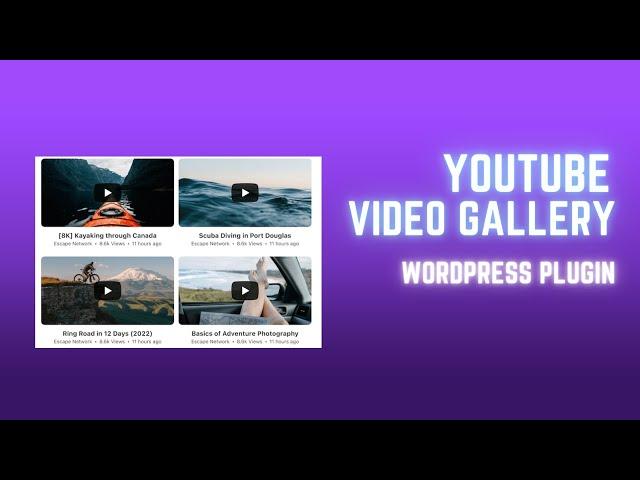 How to Use YouTube Video Gallery WordPress Plugin | Easy WordPress Tutorial