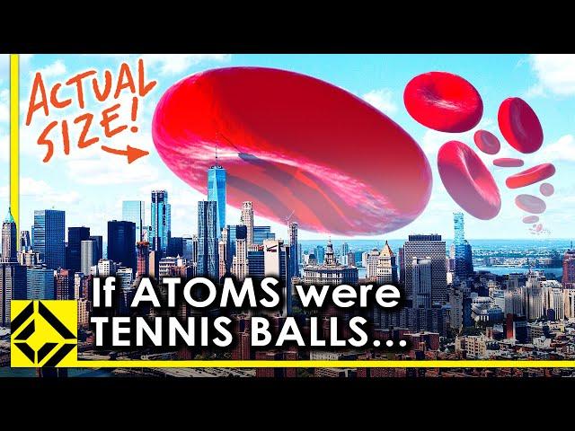 VFX Artist Reveals the True Scale of Atoms