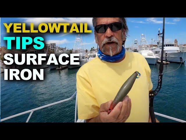 How to Catch Yellowtail | Surface Iron SoCal Style