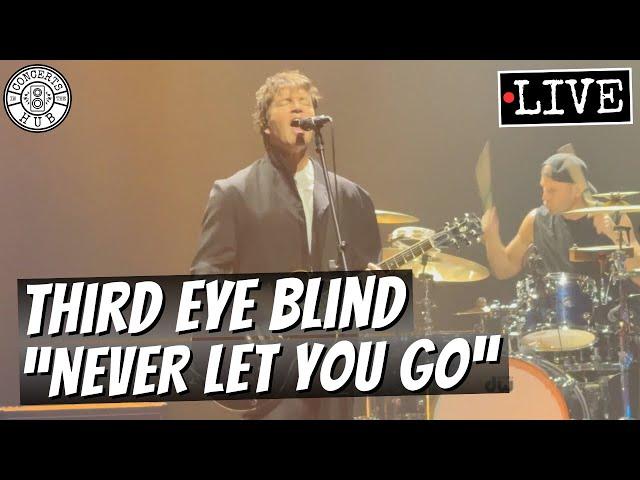 Third Eye Blind "Never Let You Go" LIVE