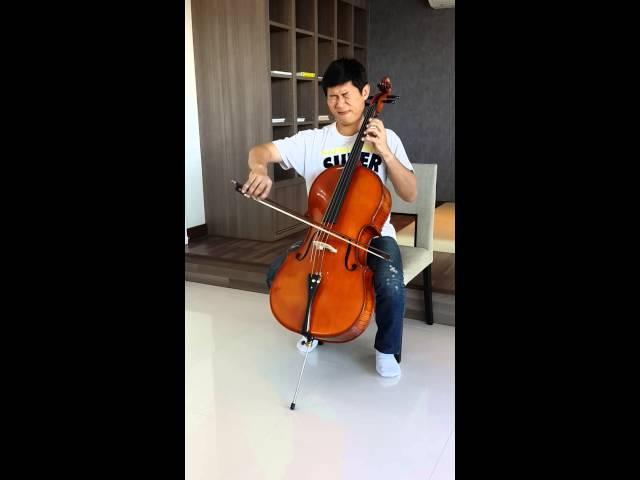 Marian Marcel Cello No.1 by Violin & String Studio