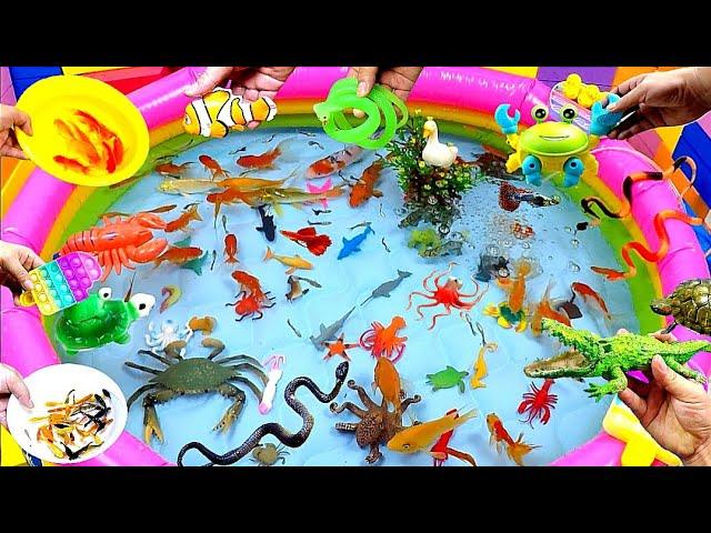 Colorful Cute Animals, Carp, Shark, Goldfish, Turtle, Baba, Duck, Guppies,Betta,Crocodile,Crab,Snake