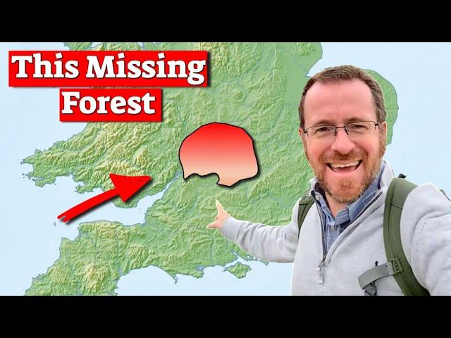 The UK's Largest LOST Forest.