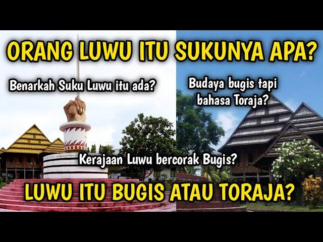 LUWU ITU SUKU APA?