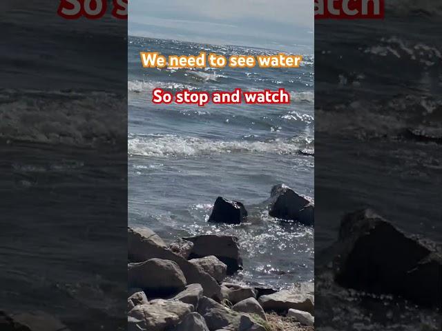 Humans need to see water #water #beach #waves