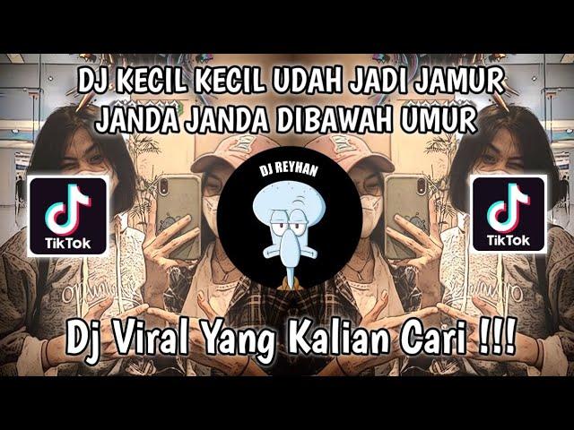 DJ KECIL KECIL UDAH JADI JAMUR JANDA JANDA DIBAWAH UMUR VIRAL TIK TOK TERBARU YANG KALIAN CARI!