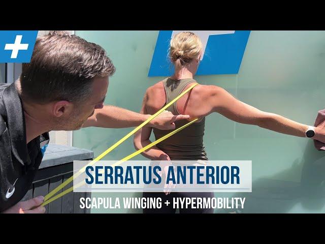 Serratus Anterior Exercises for Winging Scapula and Hypermobility | Tim Keeley | Physio REHAB