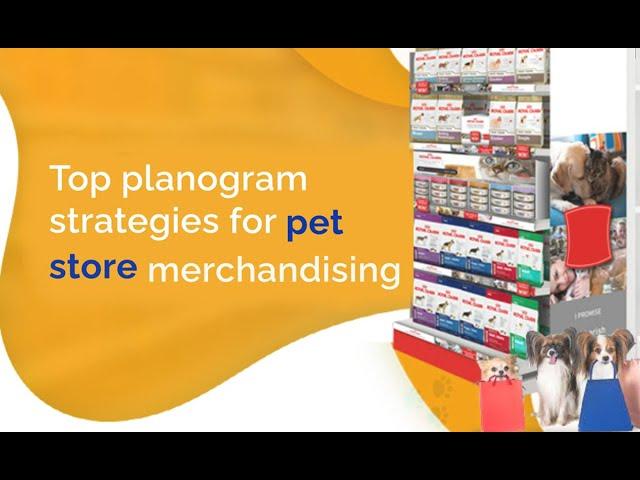 Top Planogram Strategies for Pet Store Merchandising