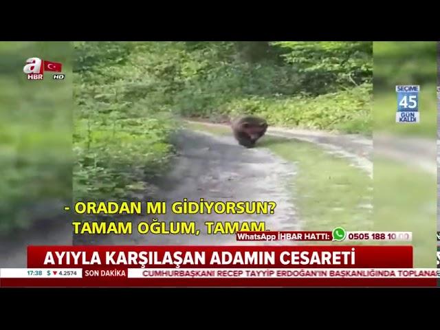 Ayıyla karşılaşan adamın cesareti | A Haber