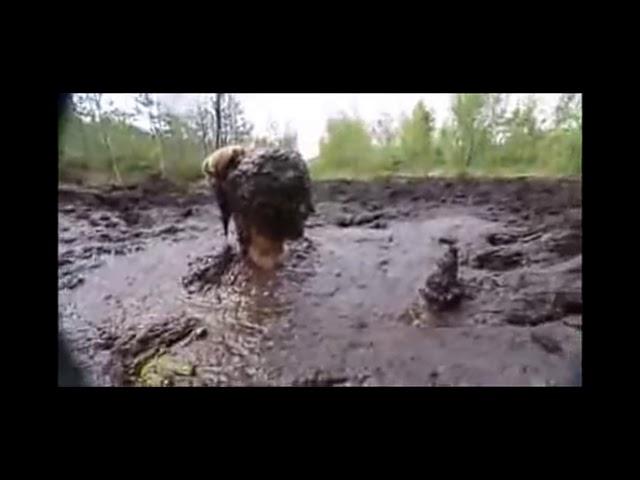 mud girl 3