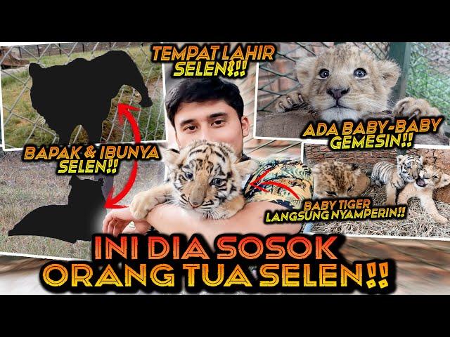 INI SOSOK BAPAK DAN IBUNYA SELEN ! GANTENG DAN CANTIK BANGET ! MAEN BARENG 2 ANAK SINGA DAN HARIMAU!