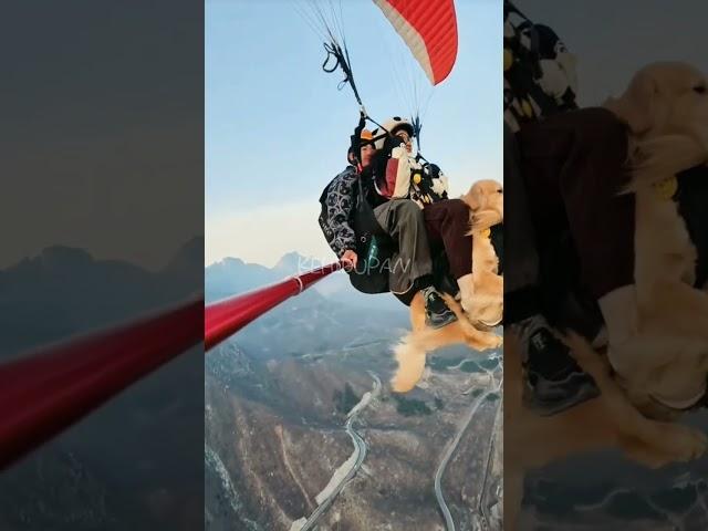 Wow!! When a beloved dog becomes a paragliding partner#shorts #life #moments #paragliding #dog