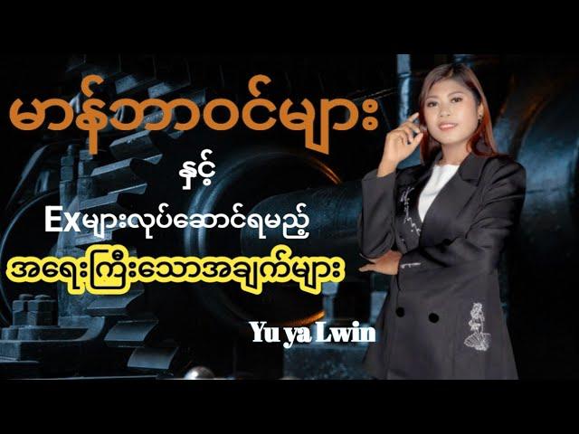 မာန်ဘာဝင်များနှင့်Exများလုပ်ဆောင်ရမည့်အရေးကြီးသောအချက်များ