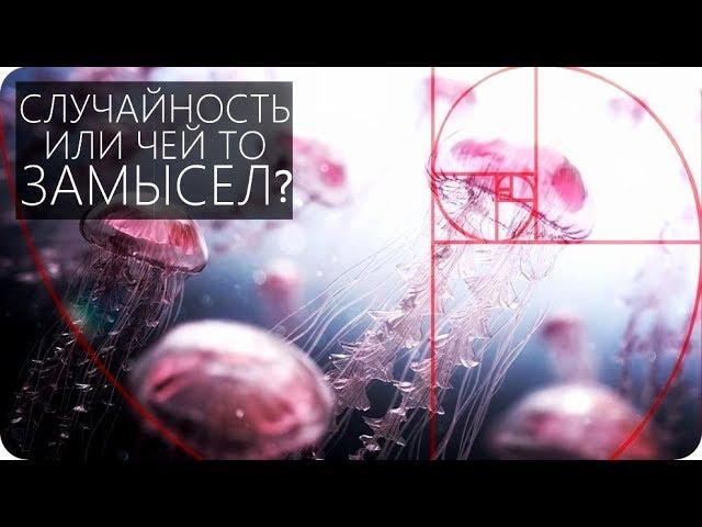 ЧИСЛА ФИБОНАЧЧИ УДИВИТЕЛЬНАЯ ЗАКОНОМЕРНОСТЬ [Число ФИ и Золотое сечение]