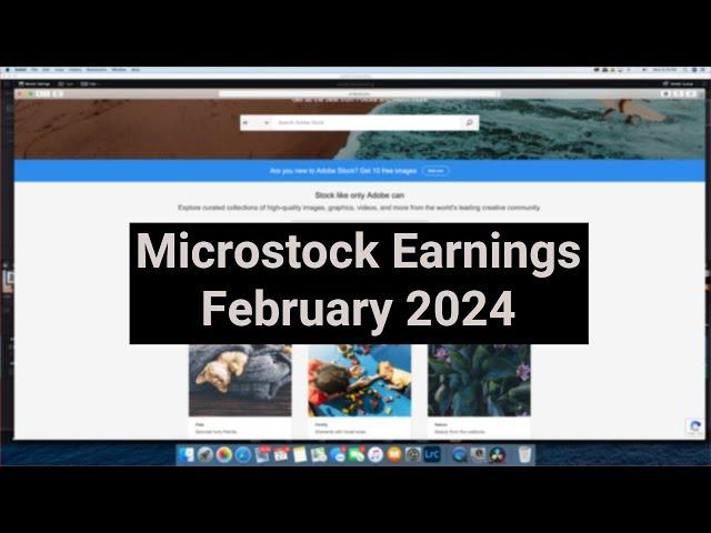 Stock Photography : Microstock Earnings - February 2024