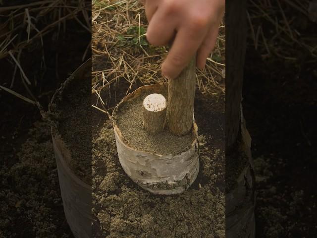 Survival skills: bushcraft candle in sand!  #outdoors #survival #bushcraft #camping