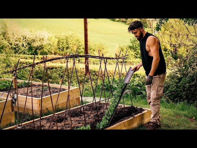 Chef Escaped Covid Lockdown In London To Start A Homestead In The Countryside ‍