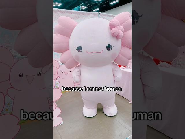 Check out Agi Jagi Shop for cute merch of Agi the axolotl! #axolotl #axolotls #kawaii #animecon