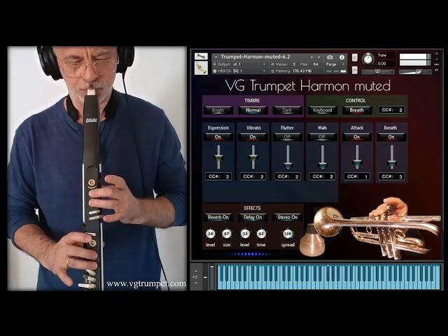 AKAI EWI4000s, EWI5000 and VG Trumpet Harmon muted NI Kontakt sound library. Brass VST plugin.