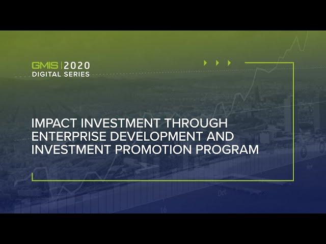 Impact Investment through the Enterprise Development & Investment Promotion Program