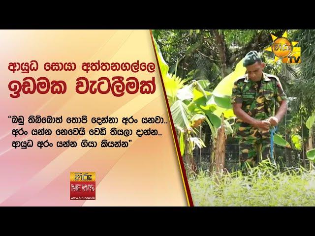 ආයුධ සොයා අත්තනගල්ලෙ ඉඩමක වැටලීමක්  - Hiru News