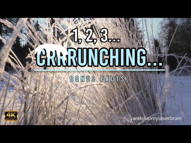 Footsteps in Crunching Snow ️ Winter Walk 10 Hours | ASMR | Laser Focus | Sleeping | Bonus Facts