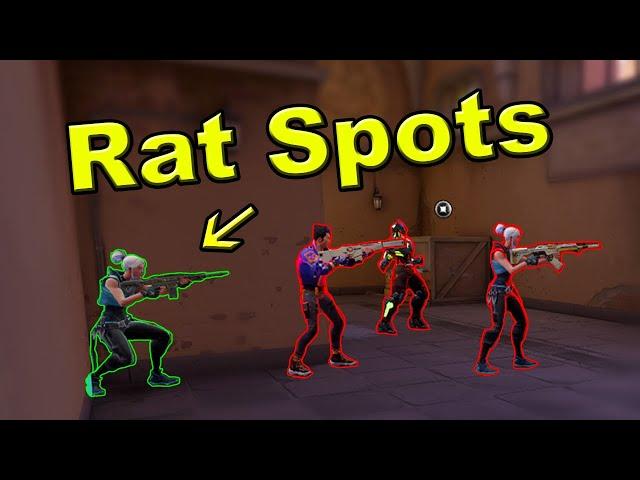 The Ultimate Valorant Rat Guide