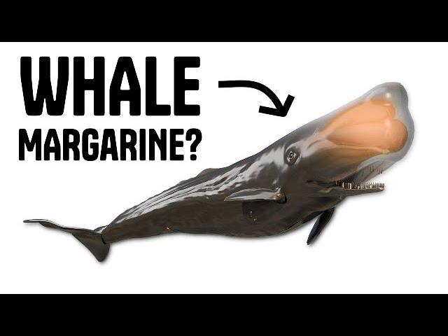 Why we killed 3 million whales (in the 20th century)