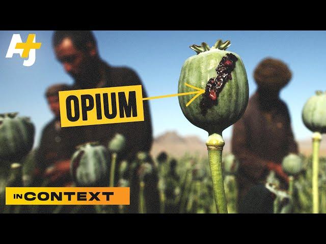 Why Opium Matters To Afghanistan — And The Taliban