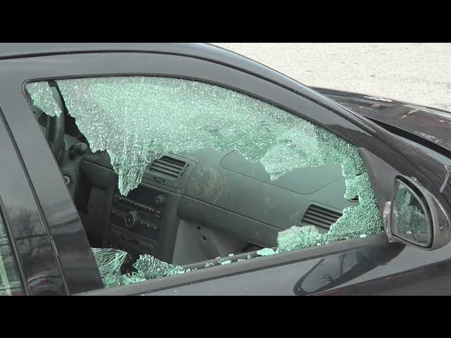 Vandal hits more than a dozen cars overnight in Detroit's North End neighborhood