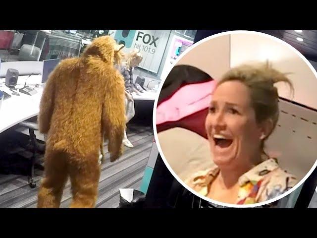 Fev Scares Daylights Out Of Fifi For Her Birthday | Fifi, Fev & Byron