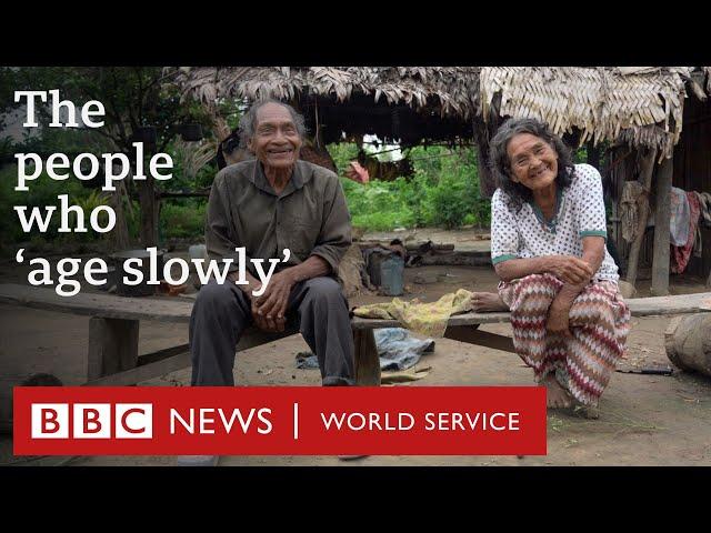 The Tsimane Amazon tribe where people age better - BBC World Service