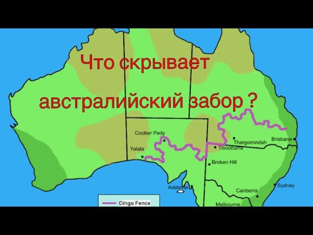 Что скрывает австралийский забор ?