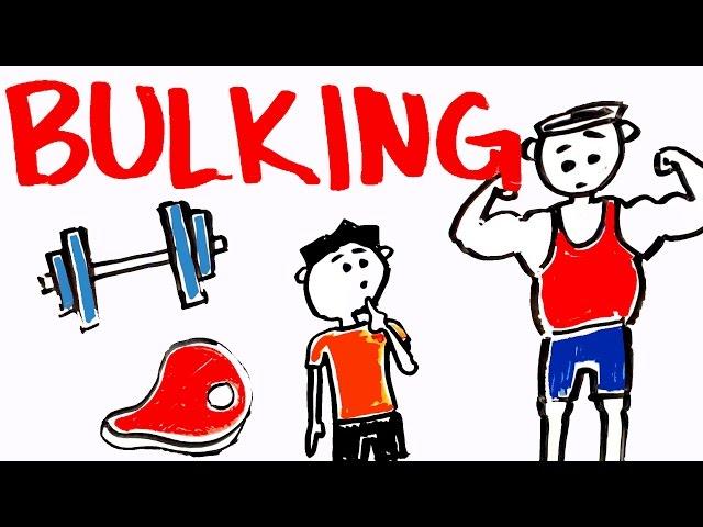 What is Bulking? Will It Make You Gain Muscle?