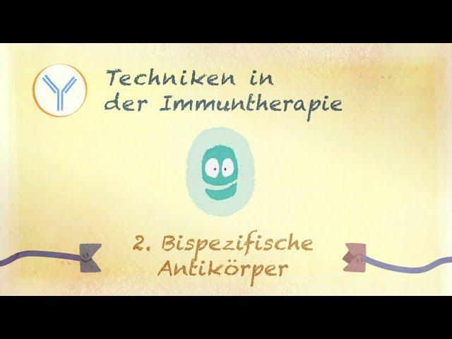 Bispezifische Antikörper, techniken in der Immuntherapie