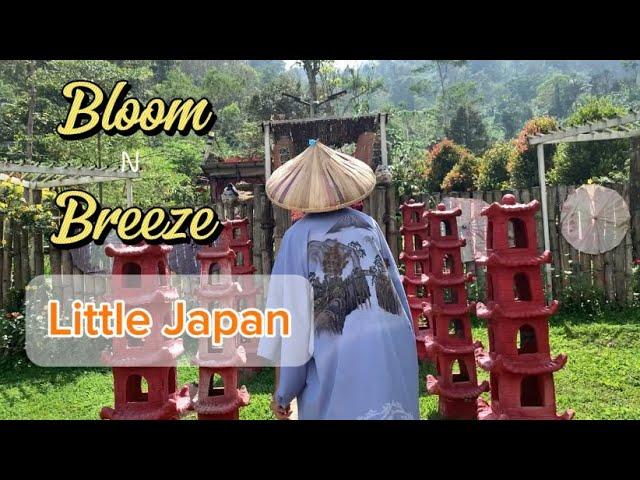 Bloom n breeze little Japan #adventuretime #naturelovers #lakwatcheronghilaw