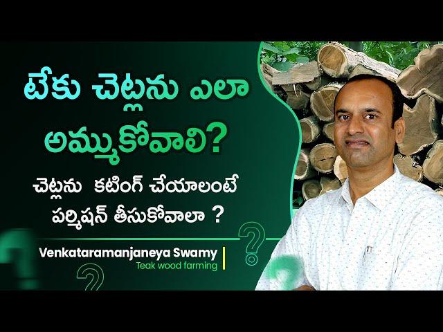 Do We Need Permission To Cut Teak Wood? Teak Wood Farming Details In Telugu | Ramanjaneya